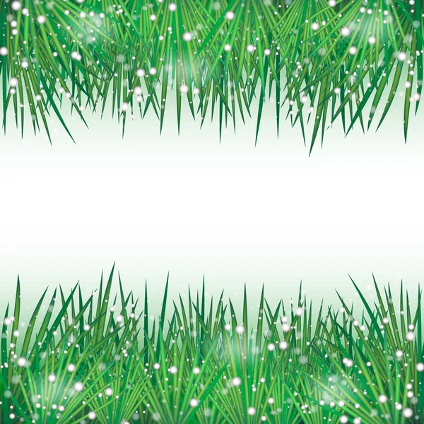 Frame with snowy pine needles — Stock Vector