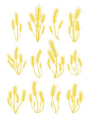 Altın buğday demetleri