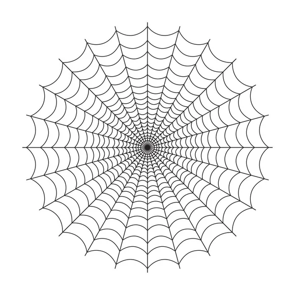 Enkelt spindelnät — Stock vektor