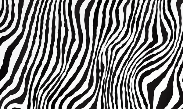Tek renkli zebra arkaplanı