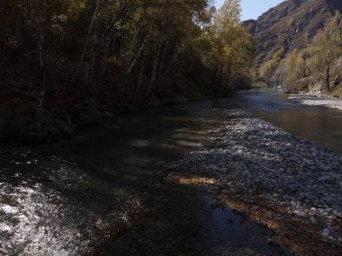 Orman ve dağ nehri, sonbahar.