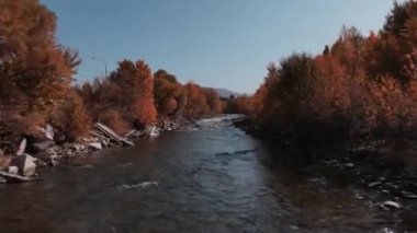 Sonbahar nehri sarı yaprakları bir dağ deresinin üzerinde.