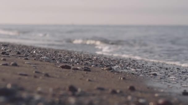 Κύματα της θάλασσας ρολό σε μια αμμώδη παραλία — Αρχείο Βίντεο