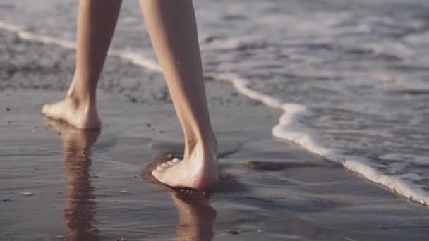 Chica Camina Descalza Largo Orilla Del Mar Primer Plano Una — Vídeos de Stock