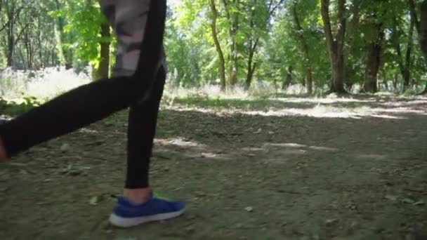 Chica en una carrera de la mañana en el bosque — Vídeos de Stock
