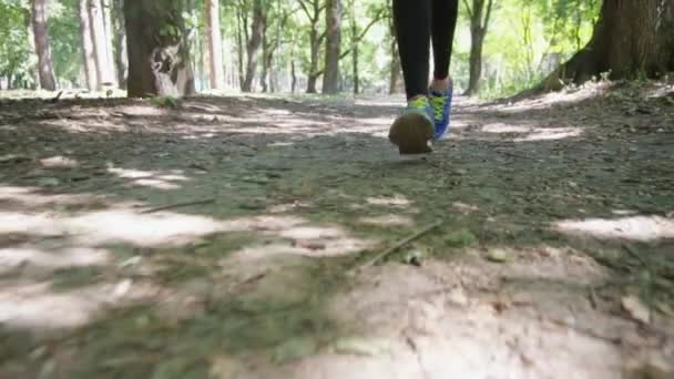 Menina em uma corrida de manhã na floresta — Vídeo de Stock