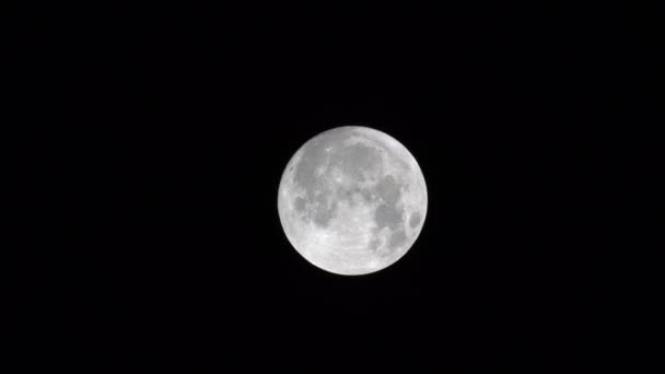 Close-up van de maan — Stockvideo