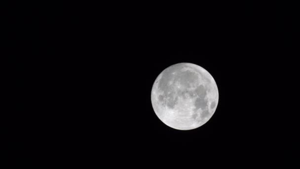 Primer plano de la luna — Vídeos de Stock