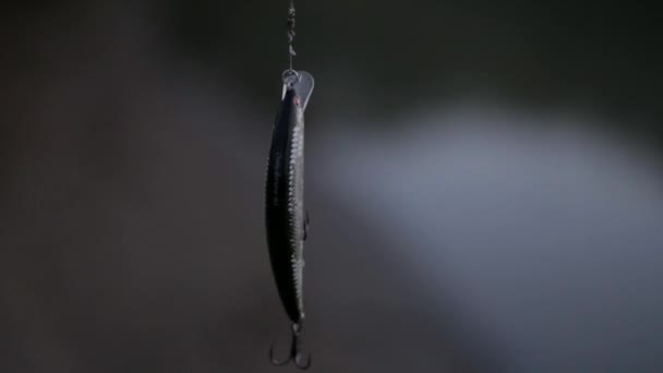 Le pêcheur jette une canne à pêche dans la rivière . — Video