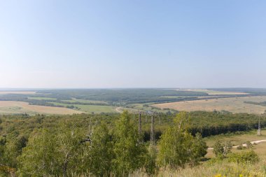 Yaprak döken orman. Flora ve fauna. Yaz manzara. Güneşli gün.