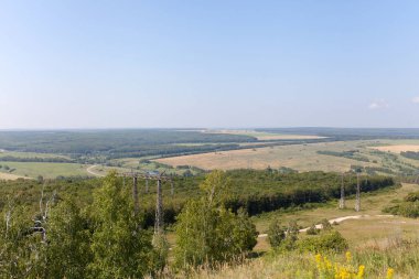 Yaprak döken orman. Flora ve fauna. Yaz manzara. Güneşli gün.