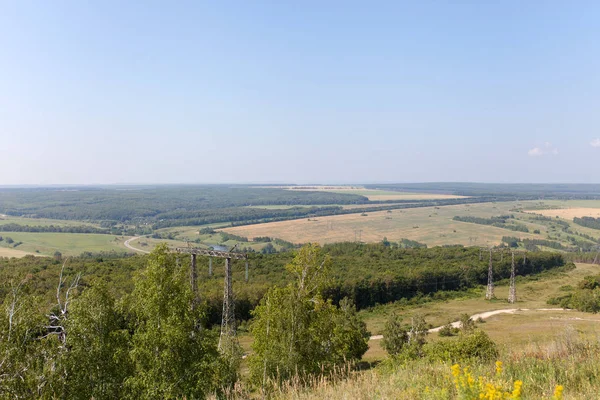 Yaprak döken orman. Flora ve fauna. Yaz manzara. Güneşli gün.