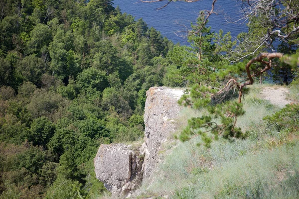 Pădure Foioase Flora Fauna Peisaj Vară Însorită Rock Munţii Orizont — Fotografie, imagine de stoc