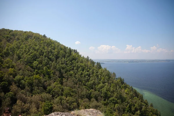 Pădure Foioase Flora Fauna Peisaj Vară Ziua Însorită — Fotografie, imagine de stoc