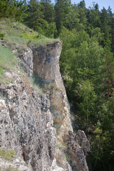 Laubwald Flora Und Fauna Sommerlandschaft Sonniger Tag Rock Die Berge — Stockfoto