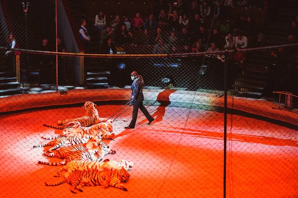 Moskova. Sirk Zapashny kardeşlerin. 28.10.2016