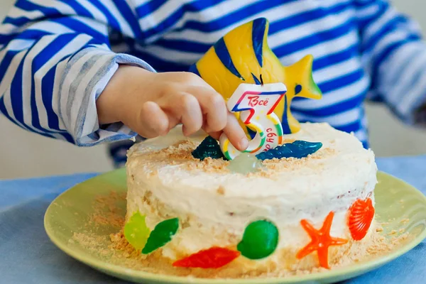 Festive cake. Birthday. Make a wish. Blow out the candle