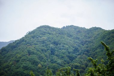 Yolculuk. Güzel sahne. Yüksek dağlar, kalın sis. Yaz tatili.