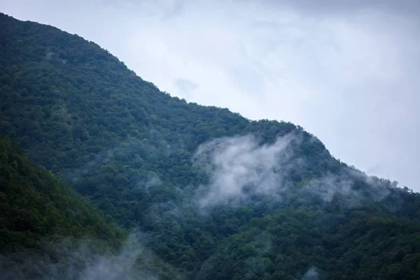 Călătorie Frumos Peisaj Munţi Înalţi Ceaţă Groasă Vacanță Vară — Fotografie, imagine de stoc