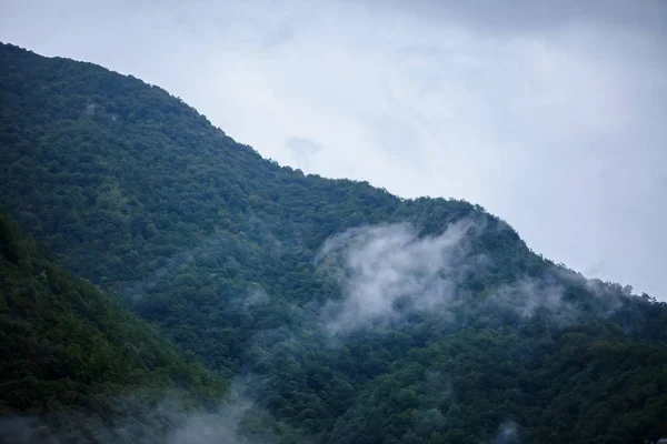 Yolculuk Güzel Sahne Yüksek Dağlar Kalın Sis Yaz Tatili — Stok fotoğraf