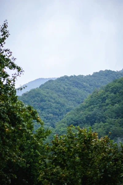 Călătorie Frumos Peisaj Munţi Înalţi Ceaţă Groasă Vacanță Vară — Fotografie, imagine de stoc