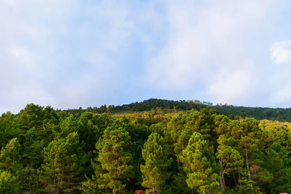 Deniz Ufku Abhazya Dağları Karadeniz Yaz Tatili — Stok fotoğraf