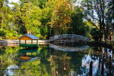Abhazya. yaz tatili. güzel doğa, göl. Yeşil ağaç. Ahşap köprü