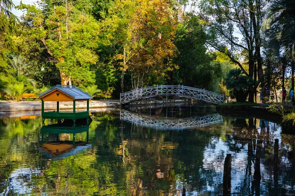 Wakacje Abchasko Summer Piękna Przyroda Jezioro Zielone Drzewo Drewniany Most — Zdjęcie stockowe