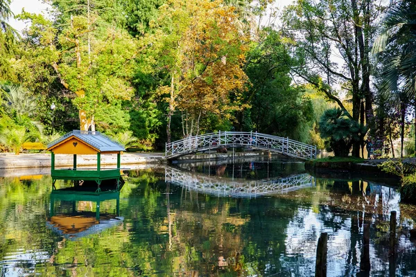 Wakacje Abchasko Summer Piękna Przyroda Jezioro Zielone Drzewo Drewniany Most — Zdjęcie stockowe