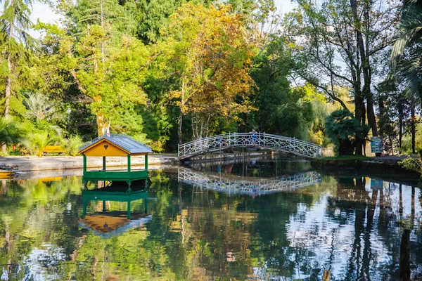 Wakacje Abchasko Summer Piękna Przyroda Jezioro Zielone Drzewo Drewniany Most — Darmowe zdjęcie stockowe