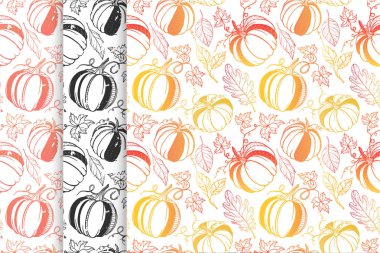 Kabaklar, yaprak ve çiçek öğeleri sonbahar renkleri ile sonbahar modelleri topluluğu. Dikişsiz desen, el ilanları, kartpostallar, kumaş, ambalaj kağıdı ve daha fazla baskı için mükemmel. Vektör sonbahar arka planlar.