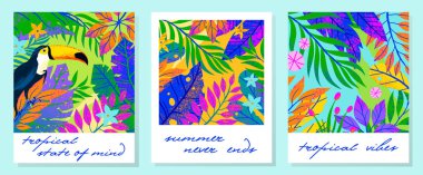Tropikal yaprakları, çiçekleri ve toucan ile yaz vektör çizimler seti. Elle çizilmiş doku ile çok renkli bitkiler. Baskılar, el ilanları, afişler, davetiyeler, sosyal medya için mükemmel egzotik arka planlar