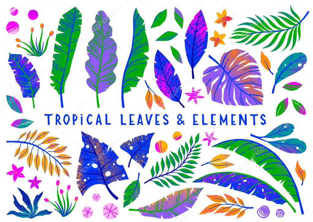Set of vector bright tropical leaves,flowers and elements.Multicolor plants with hand drawn texture.Exotic floral elements perfect for prints,flyers,banners,invitations,social media.