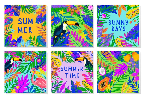 Conjunto Ilustrações Vetoriais Verão Com Folhas Tropicais Tucanos Flamingo Plantas — Vetor de Stock