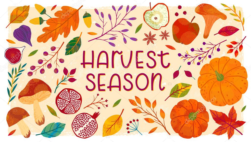 Harvest fest banner with hand drawn autumn seasonal elements.Vegetables,fruits,pumpkins,mushrooms,tree branches,apples,figs,pomegranates,leaves,berries,acorns.Trendy fall vector illustrations.