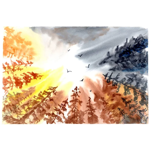 나무 실루엣과 하늘입니다. 다채로운 수채화 그림 — 스톡 사진