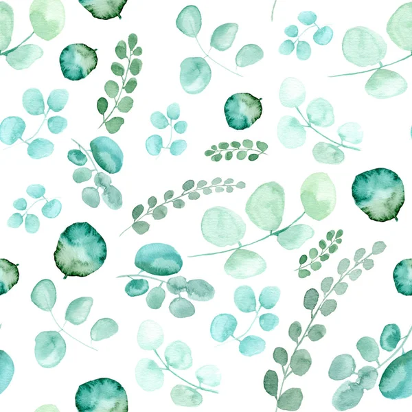 Folhas de eucaliptus. Ramos naturais, ilustração verde sobre fundo branco — Fotografia de Stock