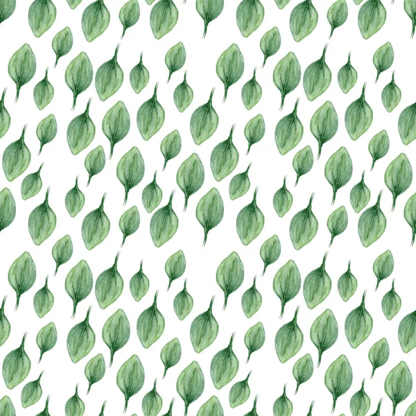 Padrão de aquarela com folhas, fundo verde natural sem costura no branco — Fotografia de Stock