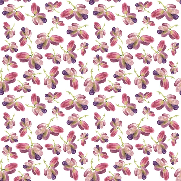 Botany illustration Watercolor grape fruit on white background. Seamless watercolor pattern — Stock Photo, Image