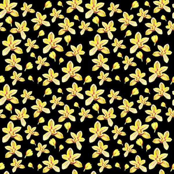 Ilustración botánica Flor de orquídea amarilla acuarela sobre fondo negro. Patrón sin costura — Foto de Stock