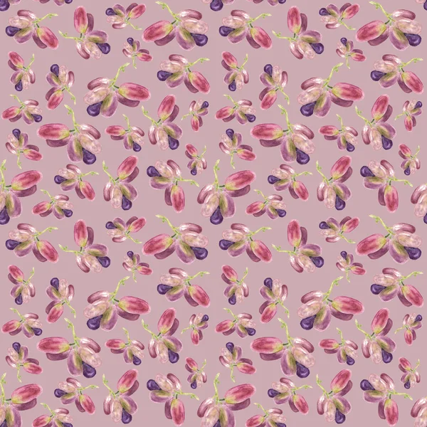 식물학 그림 분홍색 배경에 수채화 포도 과일입니다. 원활한 수채화 패턴 — 스톡 사진