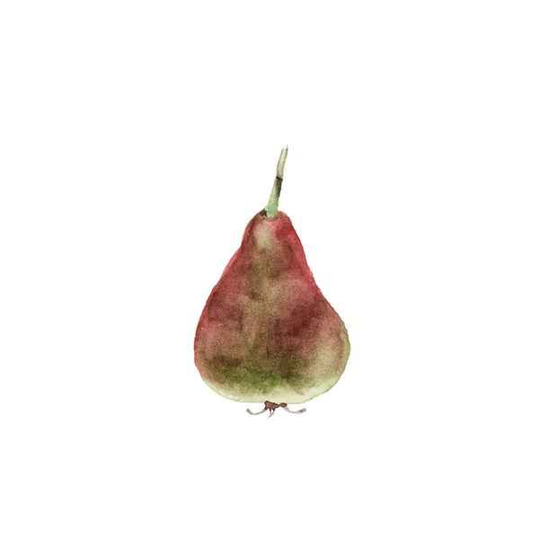 Pear isolated on white. Watercolor illustration — Stock Photo, Image