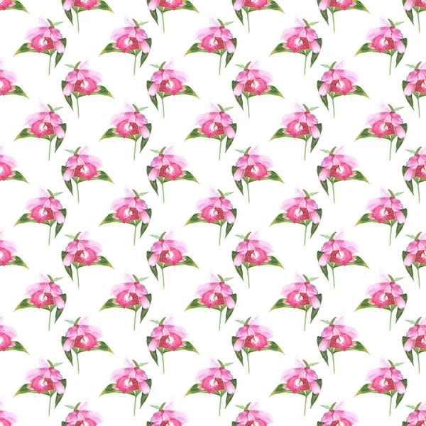 Pink orchid, cattleya on white background. Seamless watercolor pattern — Stock Photo, Image