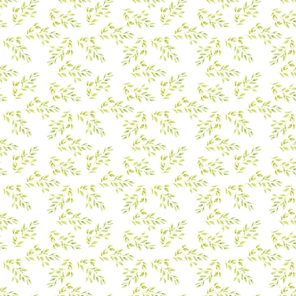 Akvarell sömlösa mönster med gröna blad twig. Grenar på vit bakgrund — Stockfoto