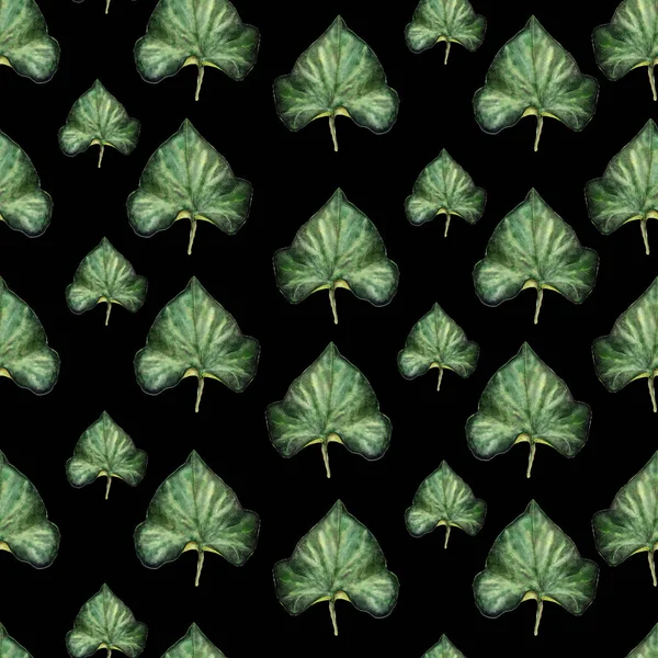아이비 잎 검은 배경에 수채화 원활한 패턴 — 스톡 사진