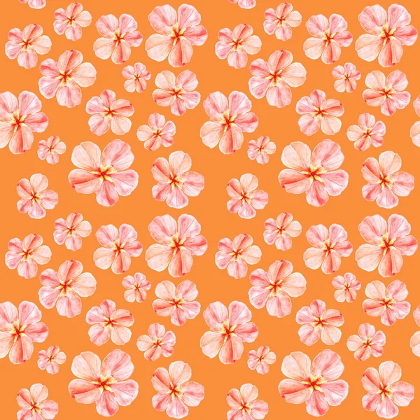 Handpainted watercolor seamless pattern with pink mallow flowers Abutilon on orange background — Stock Photo, Image