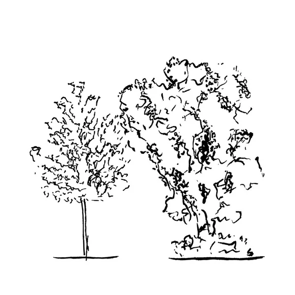 Ağaçlar kümesi. Siyah-beyaz siluetleri — Stok fotoğraf