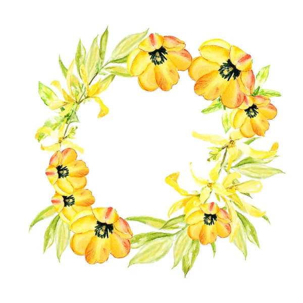 Corona de Pascua con forsitia amarilla y tulipanes amarillos. Frontera cuadrada. Ilustración de acuarela sobre fondo blanco —  Fotos de Stock