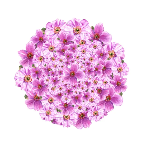 Fiori di anemone rosa e boccioli in cerchio. Illustrazione ad acquerello su sfondo bianco — Foto Stock