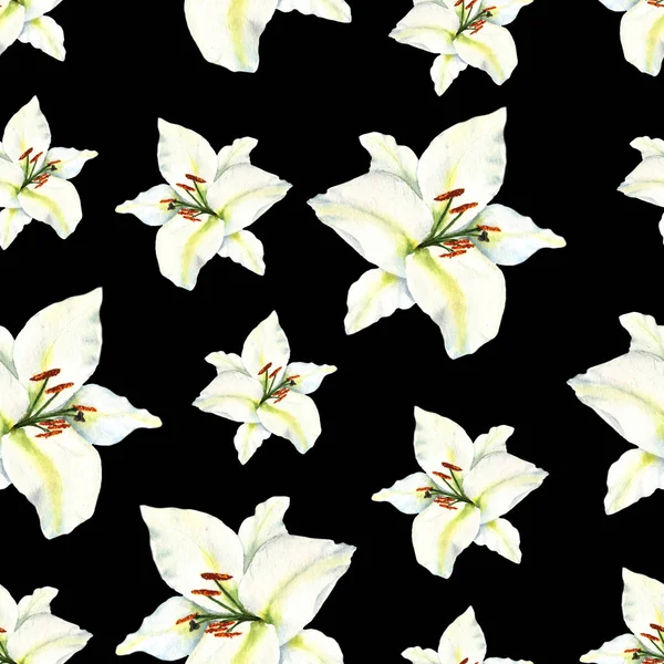 Watercolor seamless pattern with illustration of white lily flower on black background — Stock Photo, Image